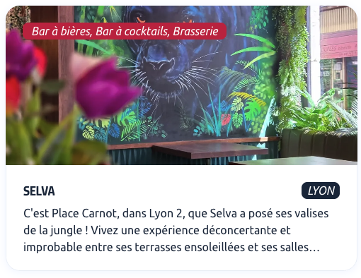 Article de presse Selva pub Lyon oh my resto